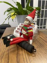 North The Chamber Elf! - Photo 9